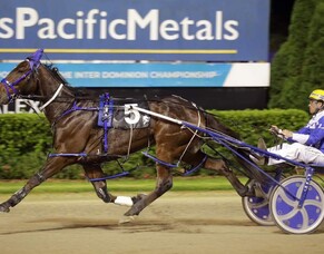 A super couple of nights for the team