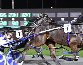 Kango confirmed for The Race by Grins - "incredibly exciting"