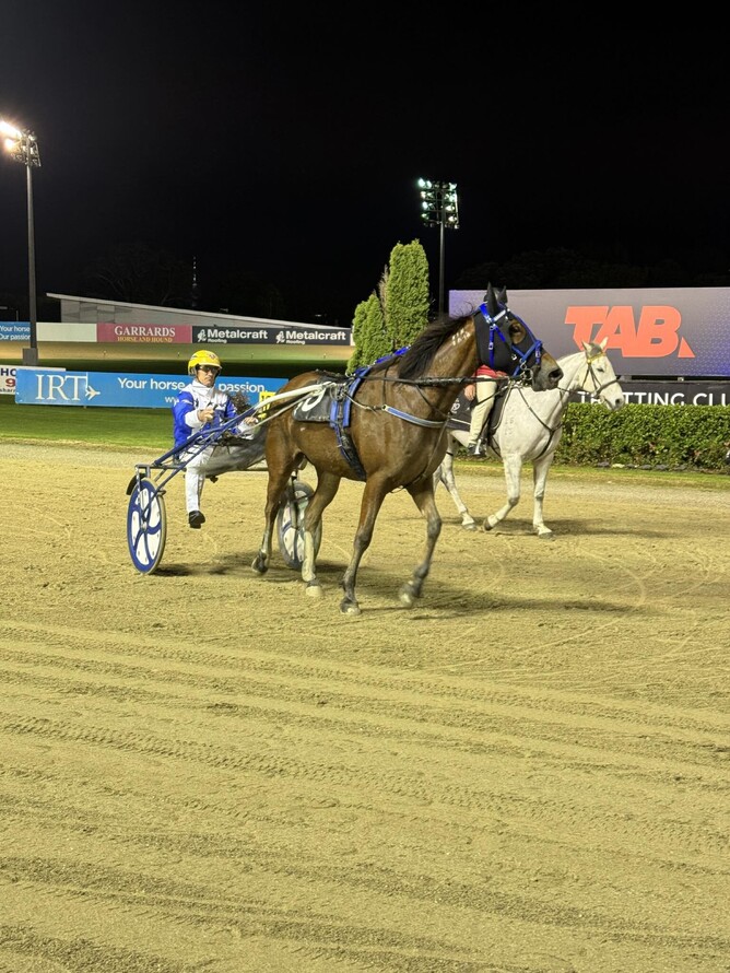 Keep It Klassy coming back to scale