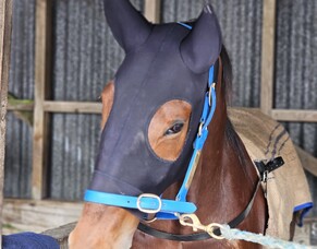 The Trials ‘Report Card’ 31 July 2024