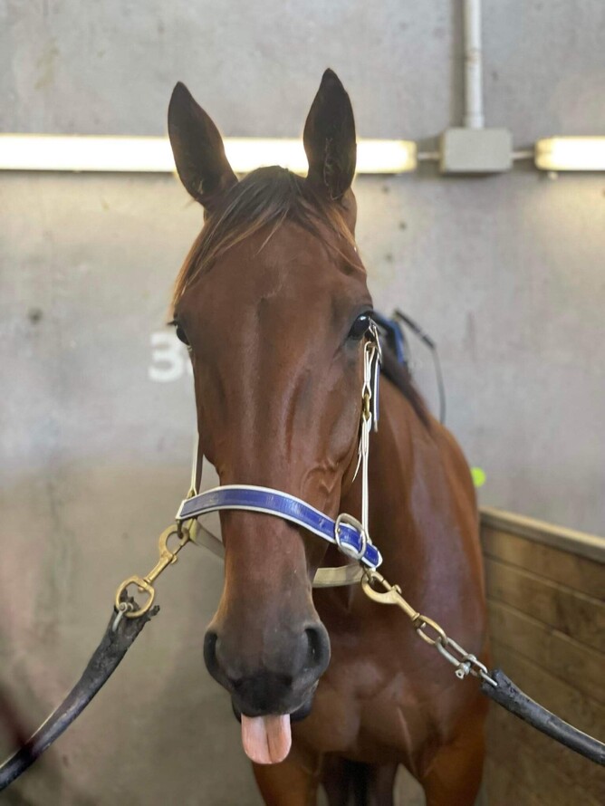 Rough And Ready looking pretty pleased with himself