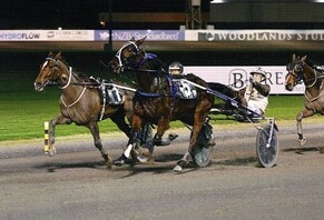 Headache mare has turned the corner for Donnelly