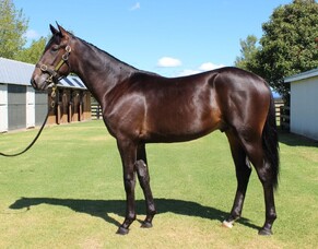 Karaka - Lot 95 - $47,500