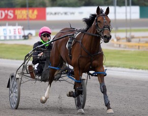 One of our two year old's in action