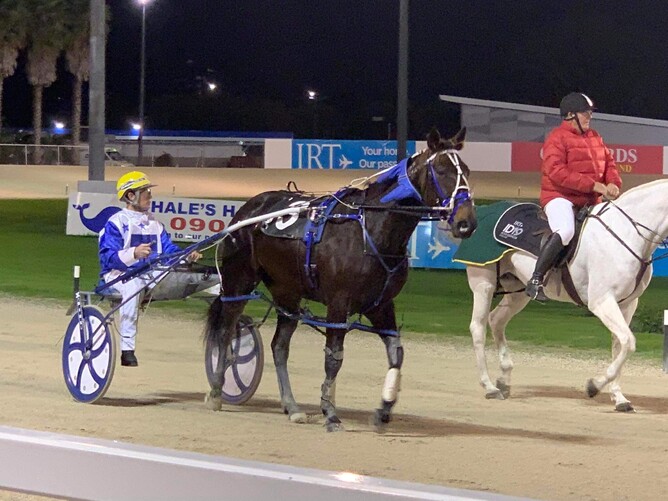 Perfect Bet returning to scale