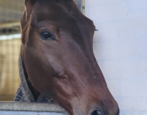 Our Southern find chalking up the wins