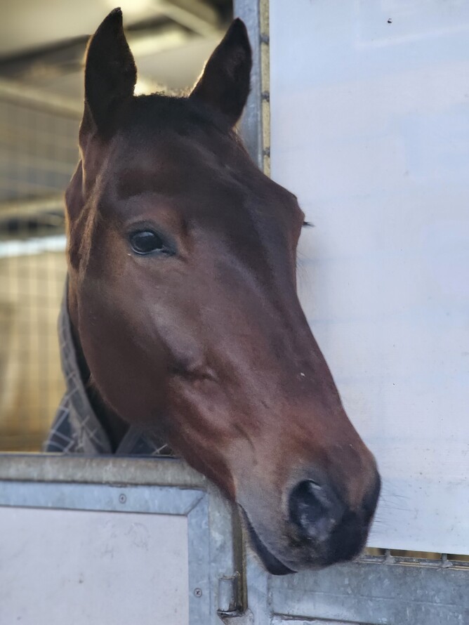 Denny clearly hasn't taken any harm from his win last night