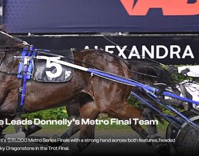 Dragonstone Leads Donnelly’s Metro Final Team