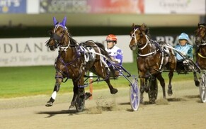 "Aunty" Ayumi's shot at Harness Million glory
