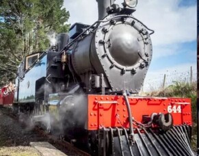 All Aboard the Glenbrook Vintage Train &ndash; A Perfect Day Trip from Clarks Beach