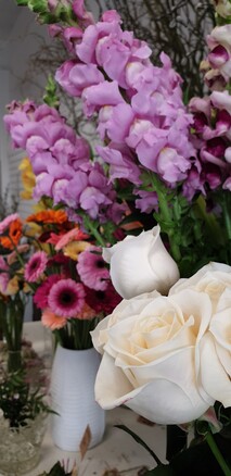 Snapdragons, white roses and gerberas