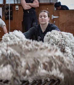 FINEWOOL WOOLHANDLING