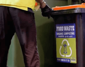 Food Scraps Collections Begin