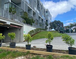 Stage 1 Landscaping underway