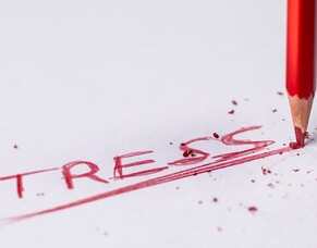 Managing stress and worry as a business owner