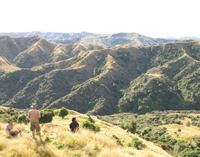 The creation of Wildside