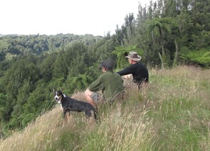 Pig Hunting Owhango