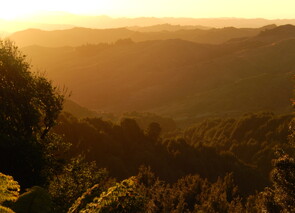Central North Island Sunset