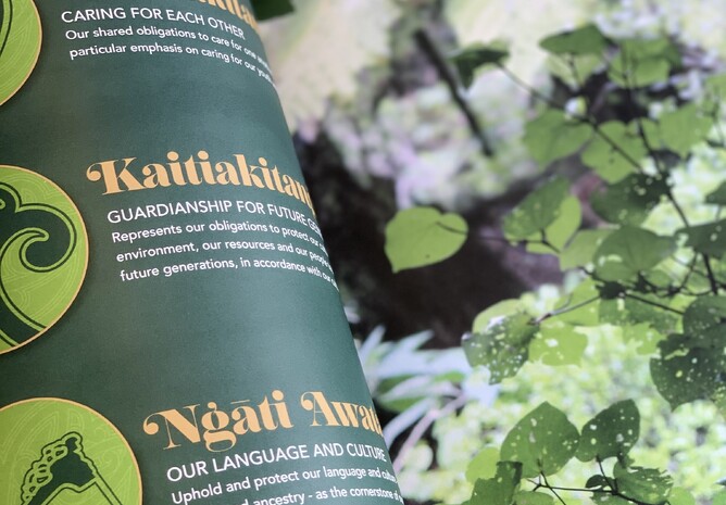 Leaves and a brochure