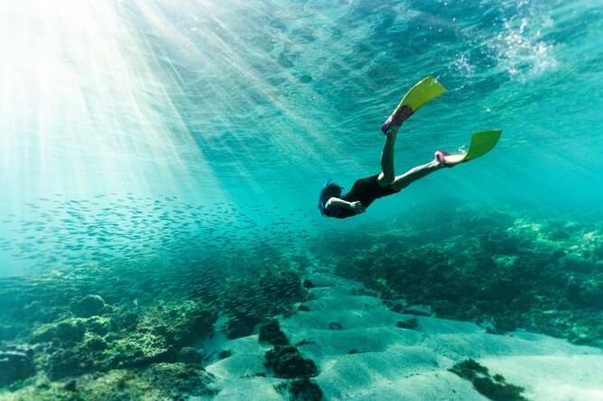 Person diving with flippers