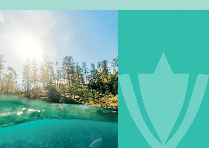 Forest and water with logo