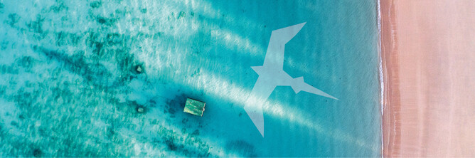 Ocean with bird logo