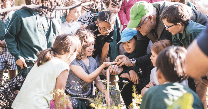Learning in Nature design