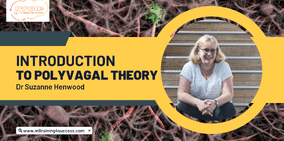 Introduction to Polyvagal Theory