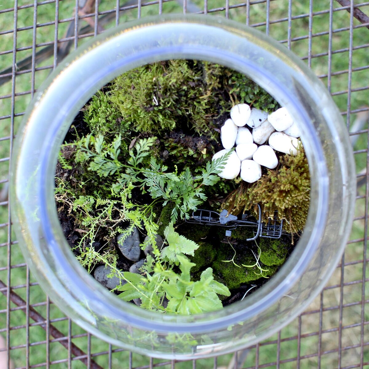 Terrariums, New Zealand Wild About Eve florist, Raglan