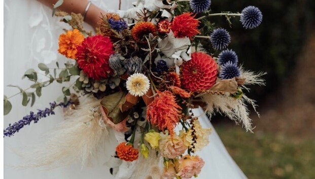 traceyclaire photography