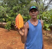 Solomon cacao farmer