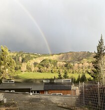 Hill driveway Cashmere hill driveway halswell hill concrete driveway canterbury