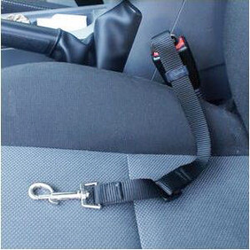 Seat Belt for your dog - Keeping Safe/stopping the worst from happening