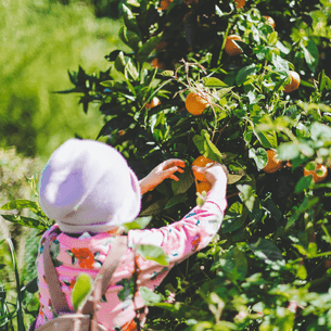Welcome Bay Early Childhood Centre