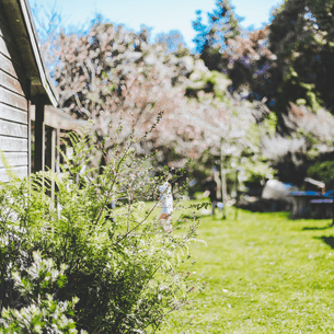 Welcome Bay Early Childhood Centre