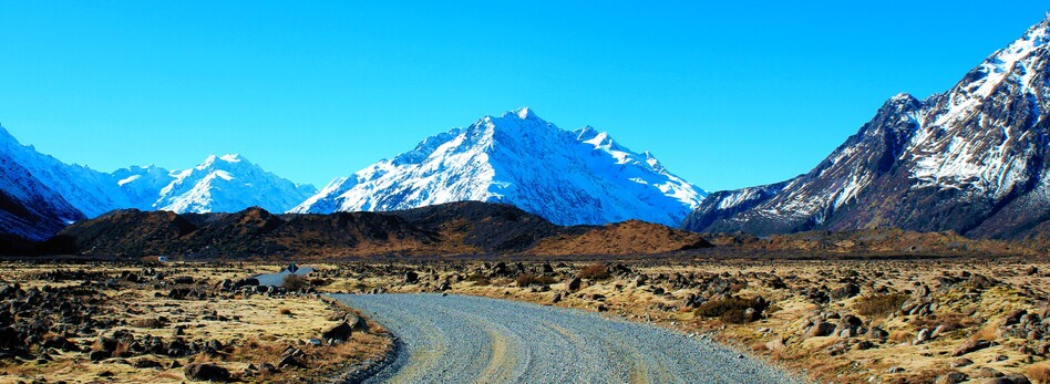 One of these roads will take you where you want to go!