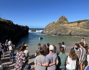 Baptisms at Te Arai Beach