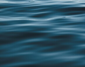 Baptism at Church on Vogel