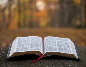 God's Work through His Word