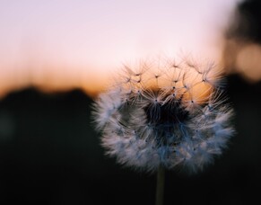 Are we being scattered?