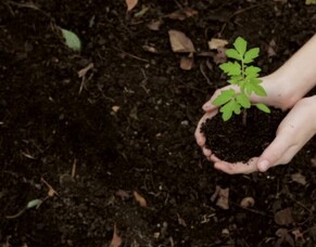 The God of the harvest