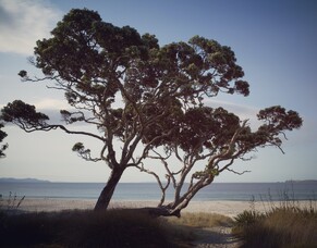 Finding meaning in the mess