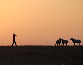 Knowing the Good Shepherd as you walk in the valley