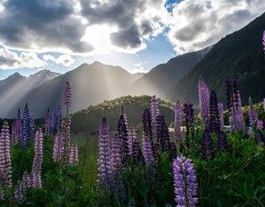 God made New Zealand