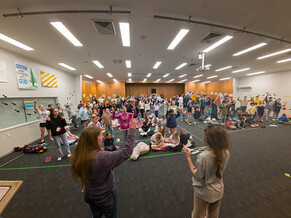 Holiday Camps at Tōtara Springs