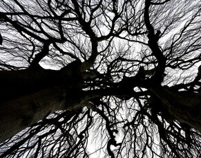 United by the Gospel