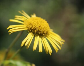 Weakness, Grace, and Renewal