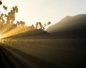 Grief will turn to joy