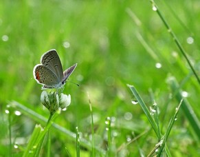 We Do Not Lose Heart