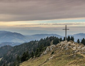 Don't miss the climate